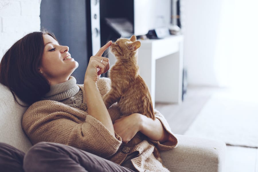 Healthy Pet Care