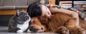 From Claws to Tails: Comprehensive Care with Mobile Pet Grooming Services