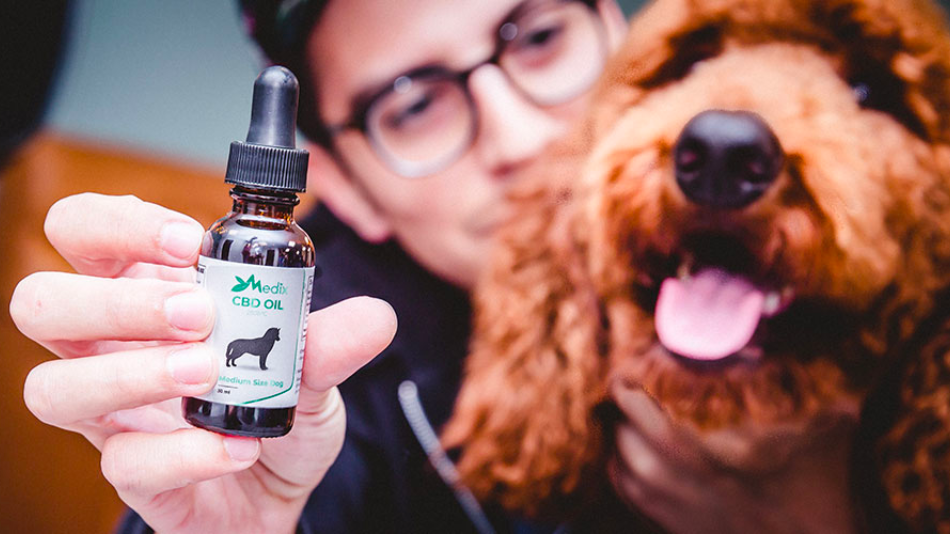 Best CBD oil